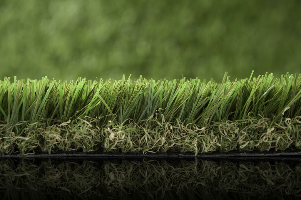 Green utopia