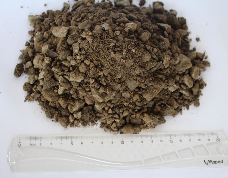 Grindgazon met graszaad